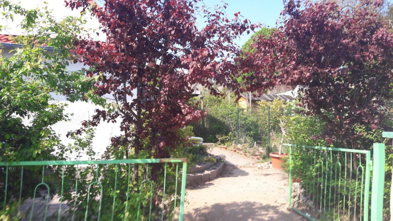 Apartments Zum Brauergang 가르쯔 외부 사진